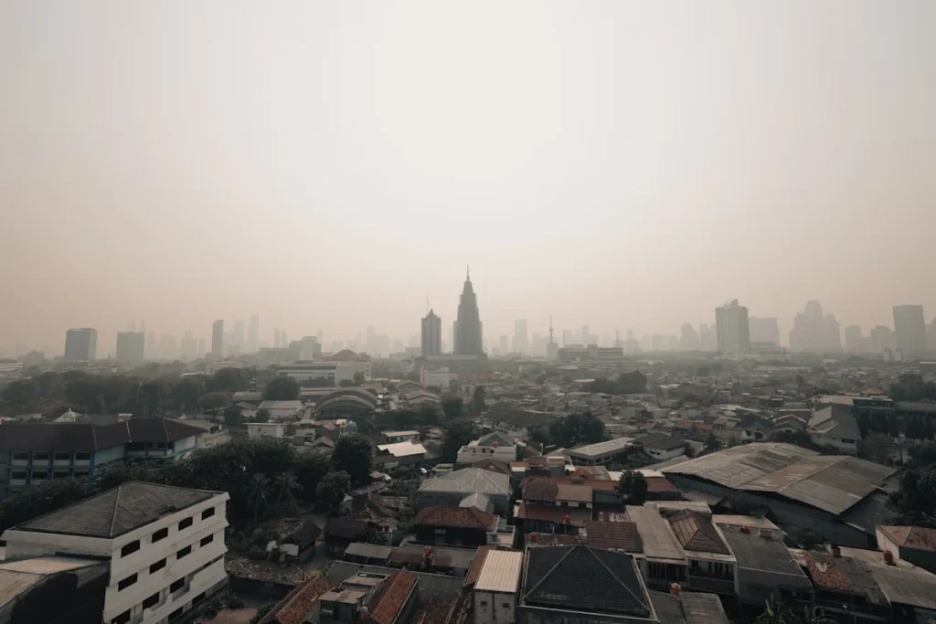 Pengalaman dan Keahlian